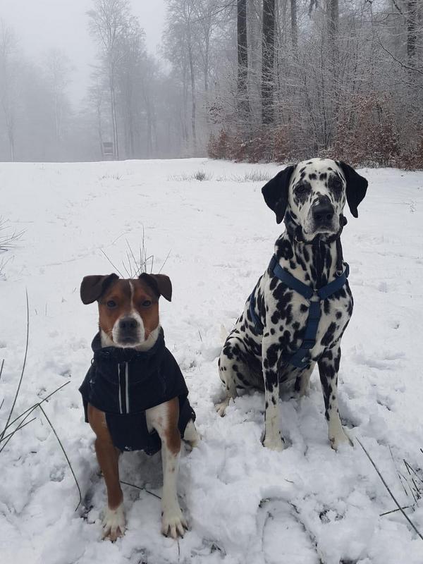 1 PHOTO 2021 02 07 10 30 00