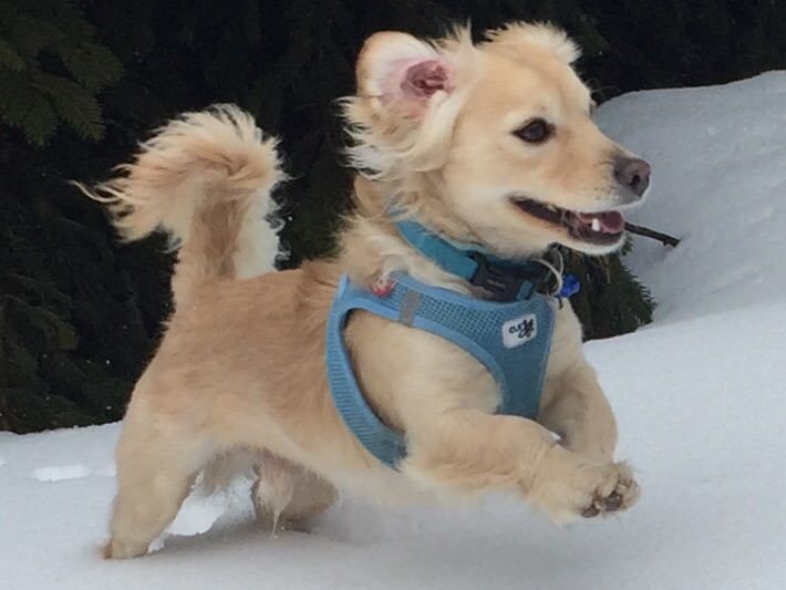 1 IMG 20170311 WA0000