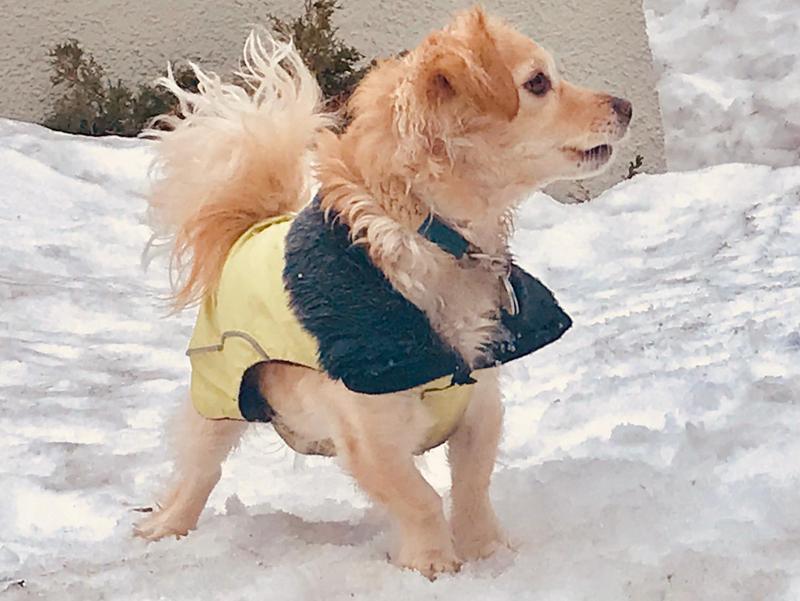 1 IMG 20190309 WA0002