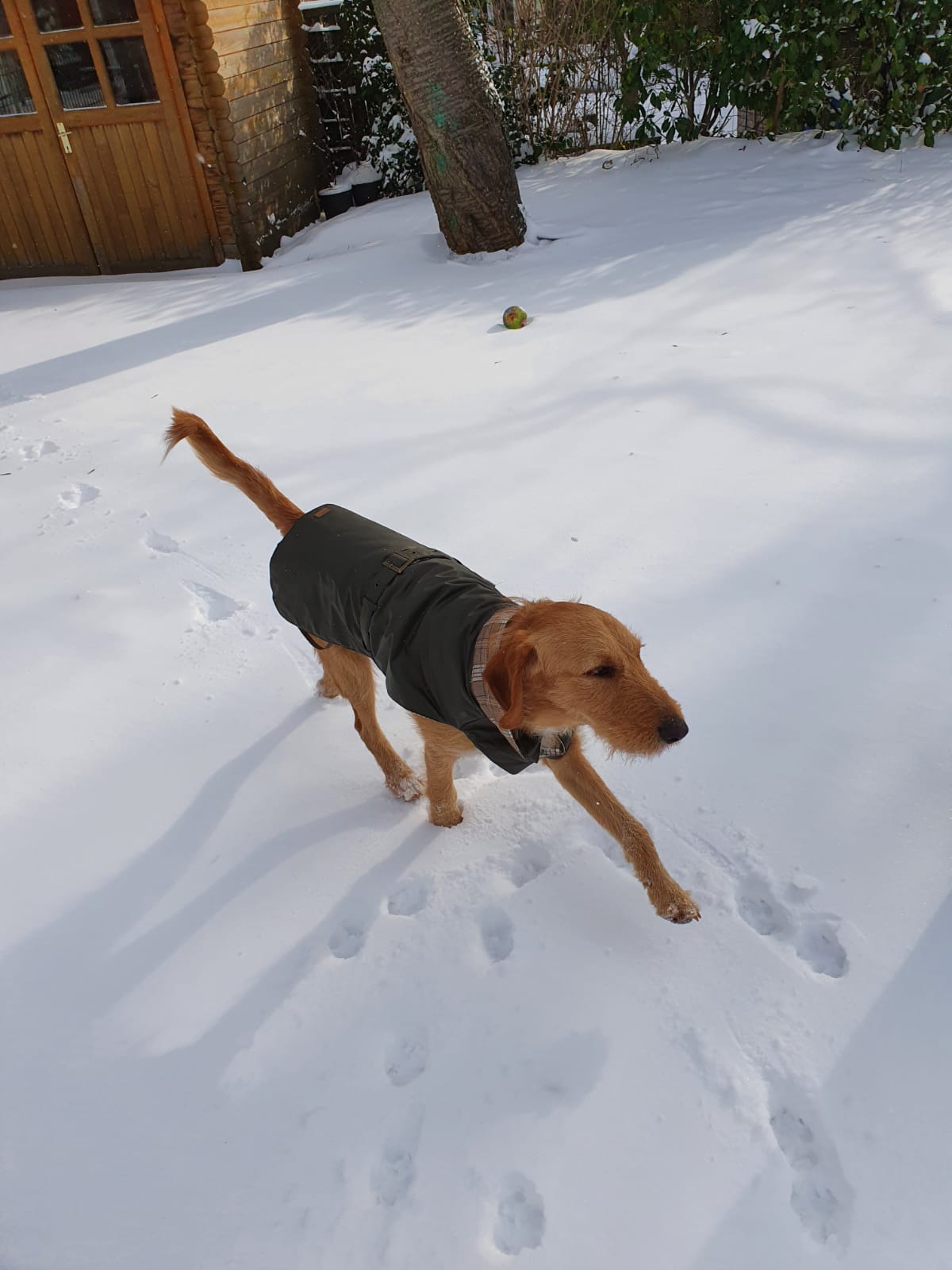 PHOTO 2021 02 08 18 33 17