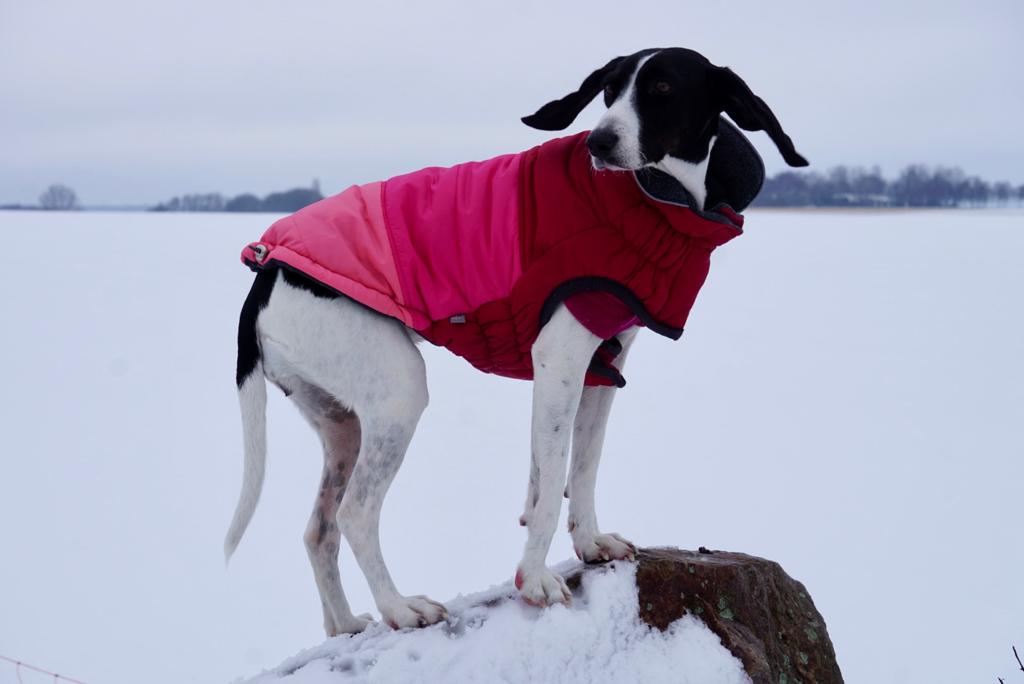 PHOTO 2021 02 08 18 20 46