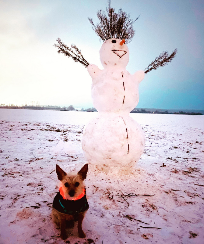 1 1772C442 89BD 4ADF BCB1 CB574C245A4F