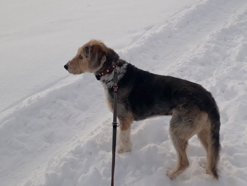 1 PHOTO 2021 02 10 15 04 41