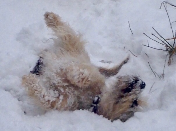 1 cid 5F528C16 236E 4357 B136 E99165A96782