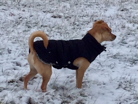 1 cid 86E5B48C 14BA 46A7 8AB5 AF49BDDA3711