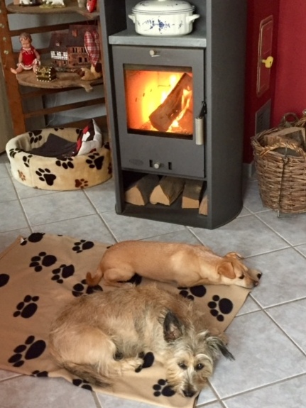 1 cid CB3E1E73 EF83 4A58 9F93 F6D7177EE6D4