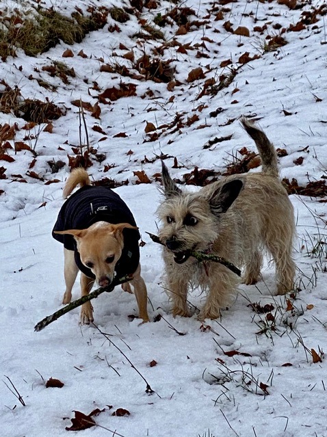 1 cid DA3B4F18 F136 4D9C 8E5C CEC9D11FD805