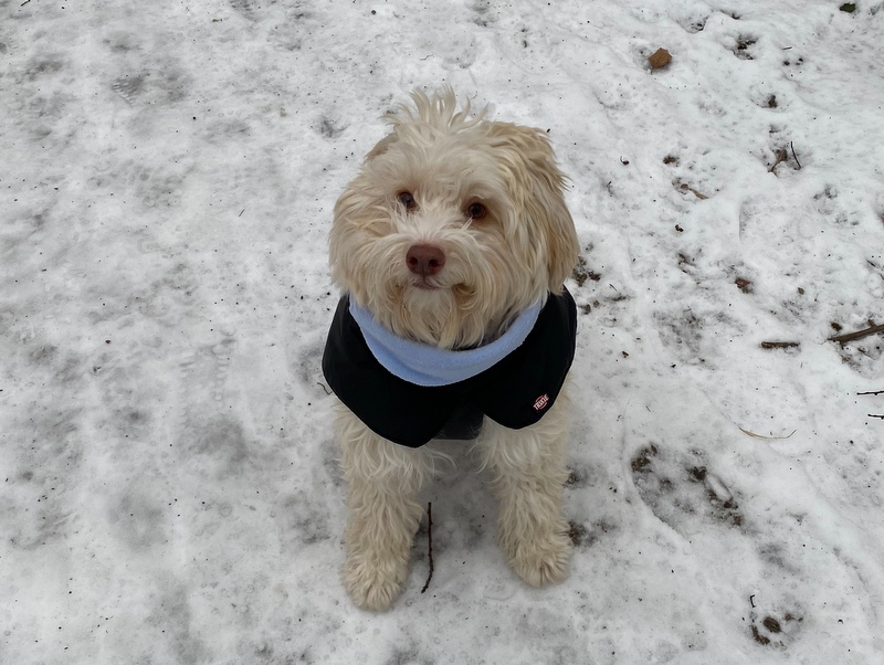 1 cid 62079D0A D518 467C 9752 35E4C367EB16