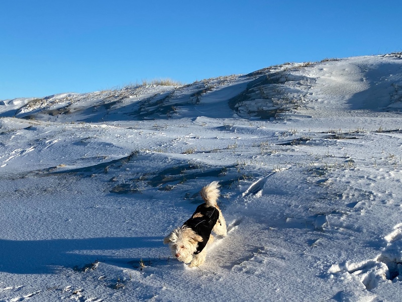 1 cid 72C4513D 74DE 4F45 BD0A 03D52C844822