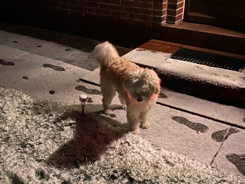 1 cid AC6CF6FF E8F6 4E6F B19C 3DC4A9DB2C2E