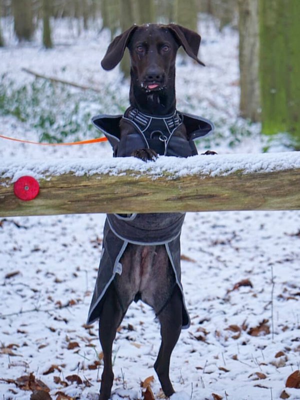 1 IMG 20210130 124747 696