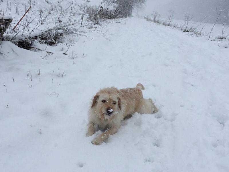 1 PHOTO 2021 02 09 13 00 36