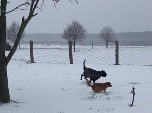 1 PHOTO 2021 02 07 10 04 15