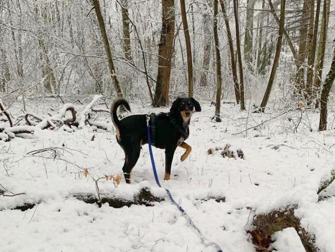 1 PHOTO 2021 02 07 17 51 14