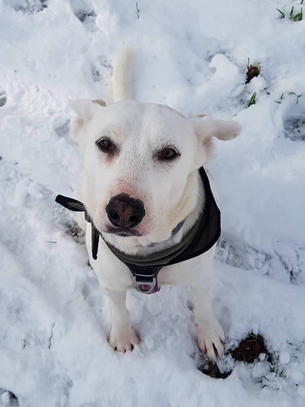 1 20210130 150126 resized