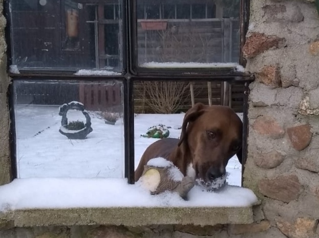 1 PHOTO 2021 02 09 12 23 47