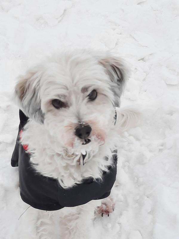 1 cid 6ab4b42b 79b4 4e83 b124 383604be1549