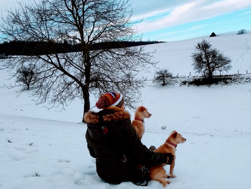 1 PHOTO 2021 02 09 08 07 59