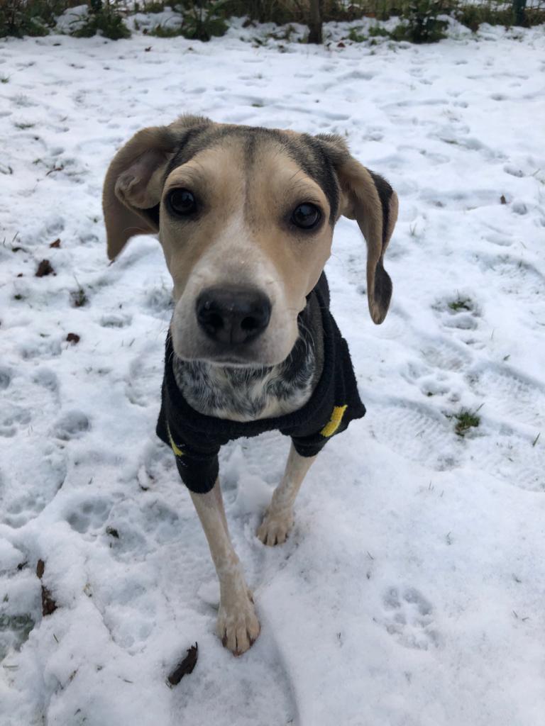 PHOTO 2021 02 08 18 17 46