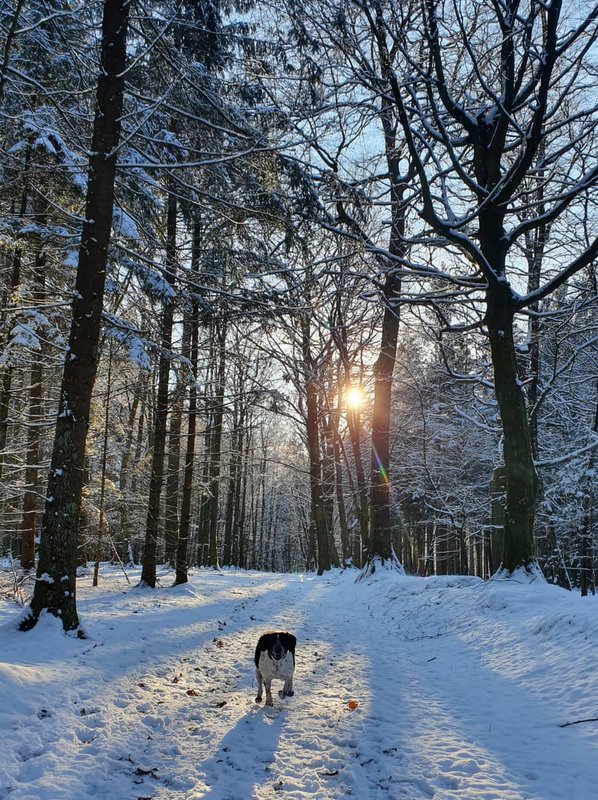 1 PHOTO 2021 02 08 21 54 32