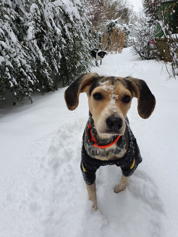 1 PHOTO 2021 02 09 11 01 30