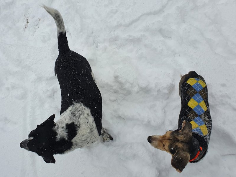 1 PHOTO 2021 02 09 11 01 37