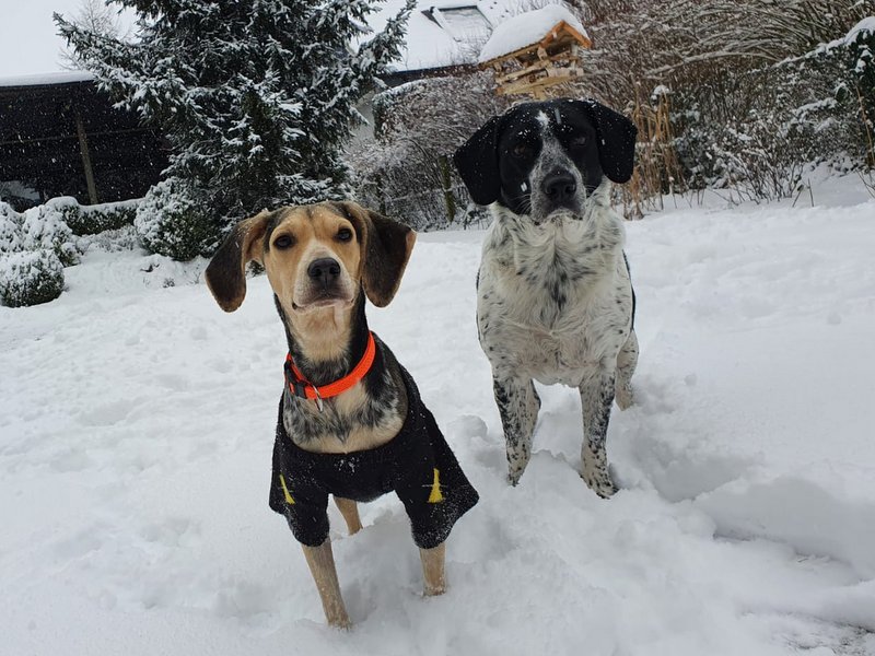 1 PHOTO 2021 02 09 11 01 45