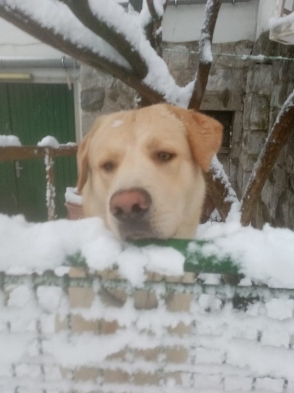 1 PHOTO 2021 02 09 12 59 35