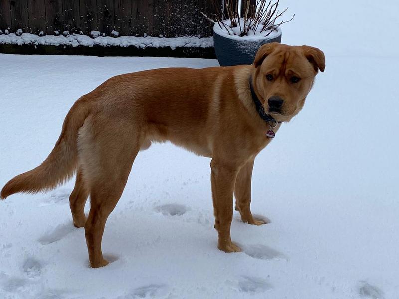 1 PHOTO 2021 02 09 09 32 06