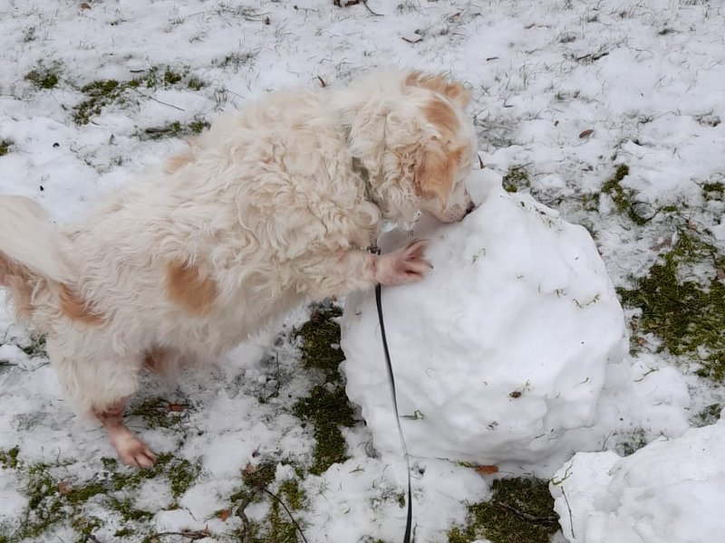 1 PHOTO 2021 02 08 12 37 15