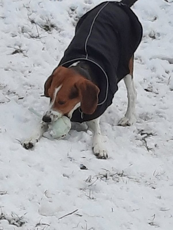 1 PHOTO 2021 02 10 19 37 49