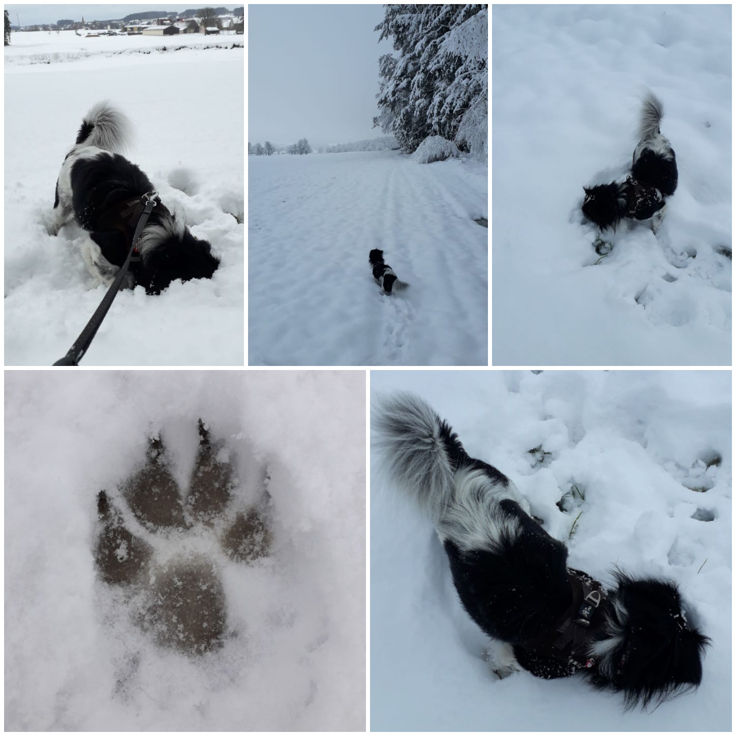 PHOTO 2021 02 08 18 19 32