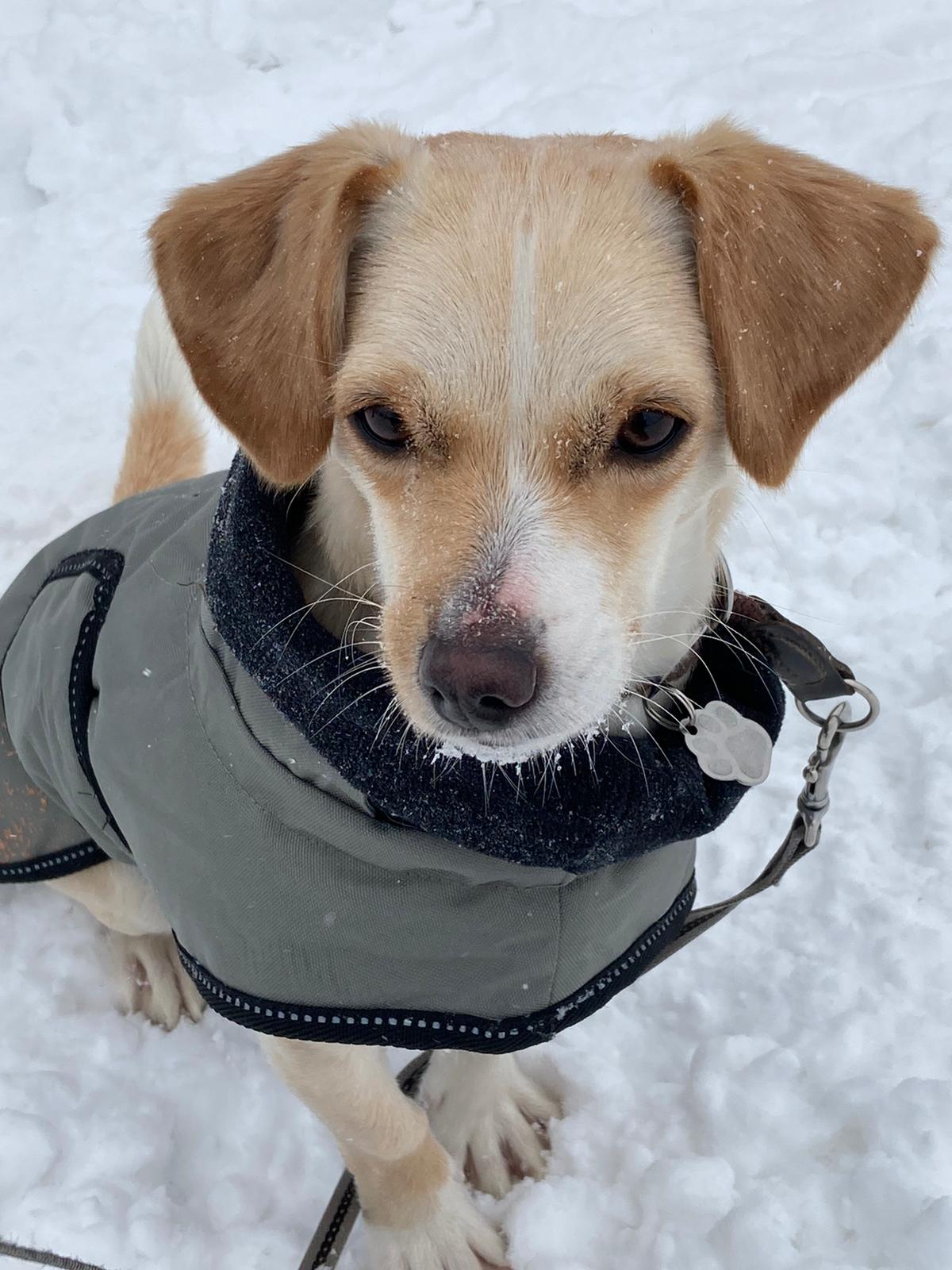 PHOTO 2021 02 08 07 38 54