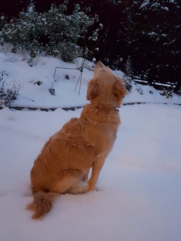 1 PHOTO 2021 02 10 20 12 24