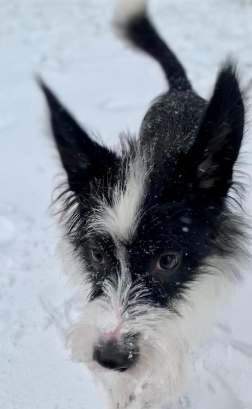 1 PHOTO 2021 02 07 19 45 55