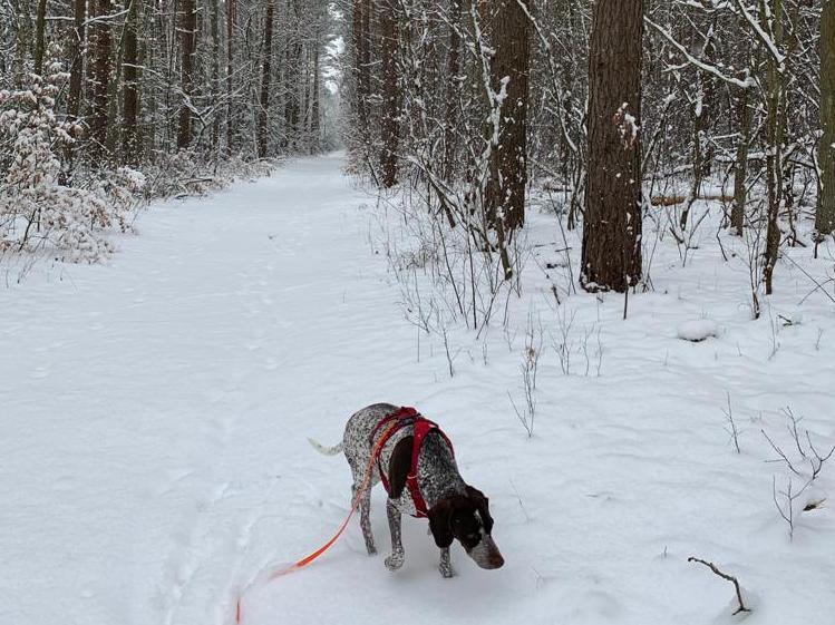 1 PHOTO 2021 02 10 19 07 33