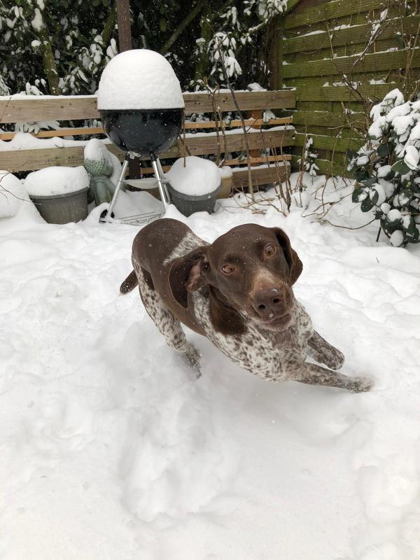 1 PHOTO 2021 02 08 18 51 27