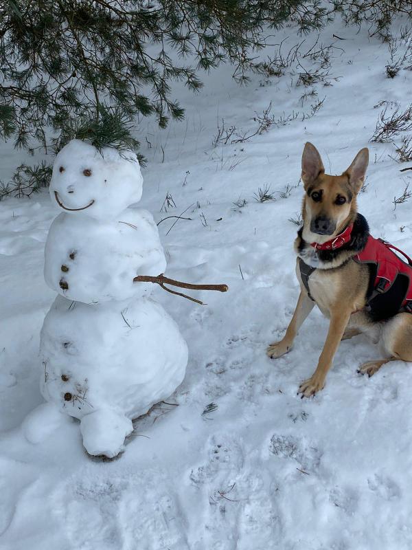 1 PHOTO 2021 02 10 13 22 53