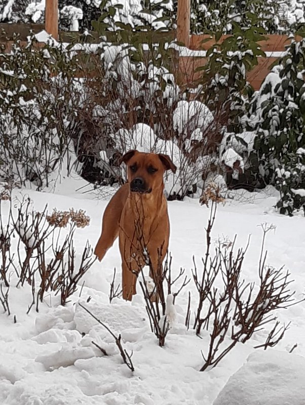 1 PHOTO 2021 02 12 21 22 15