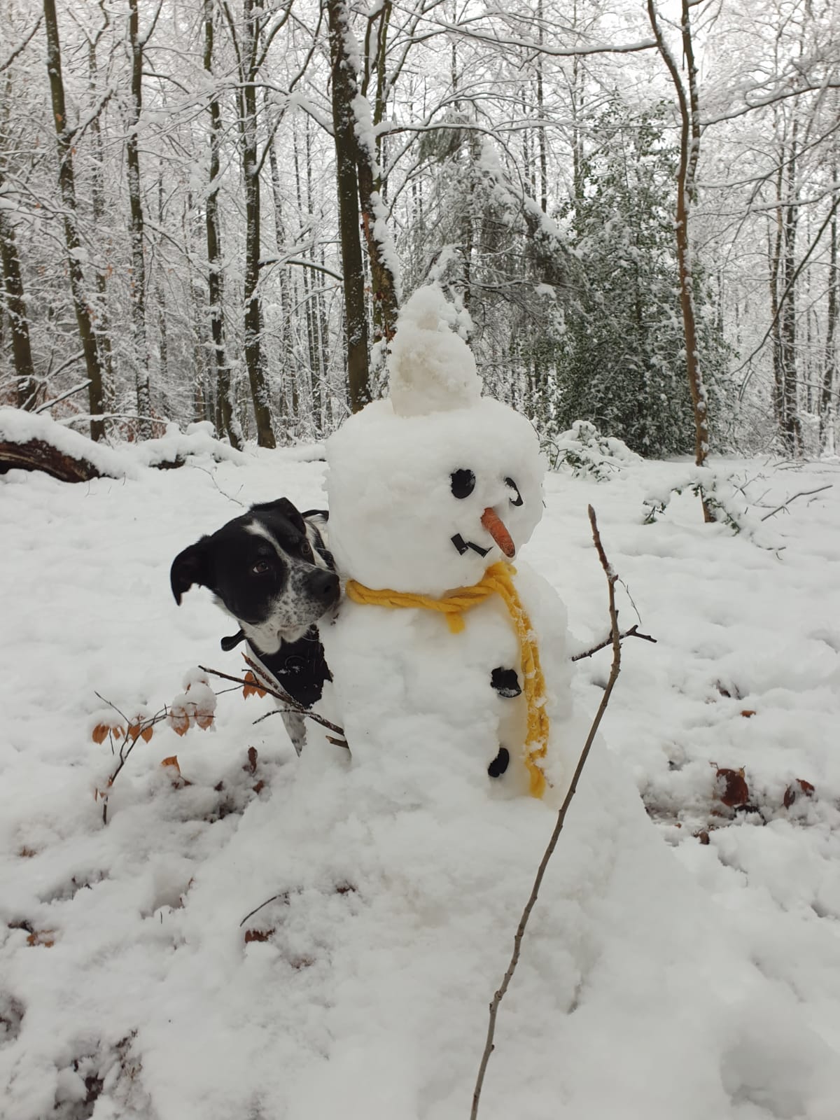 PHOTO 2021 02 08 21 35 12