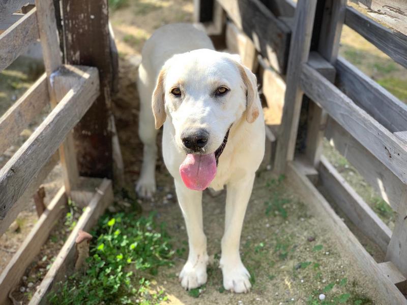 1 PHOTO 2021 01 14 16 51 49