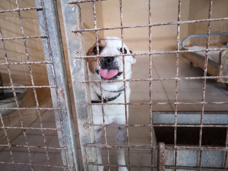 1 IMG 20210112 110550