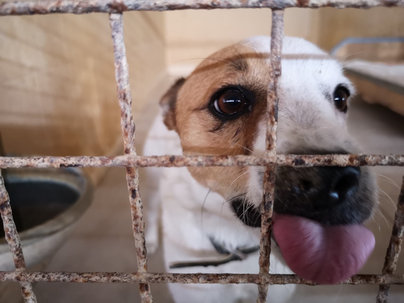 1 IMG 20210112 110603 1