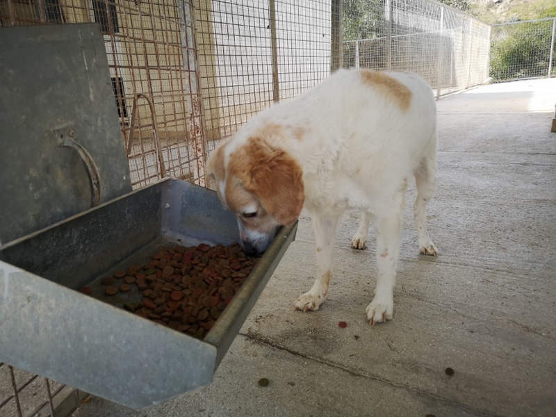 1 IMG 20210112 112626