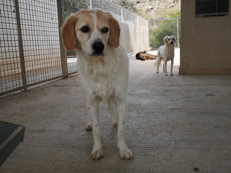 1 IMG 20210112 113433