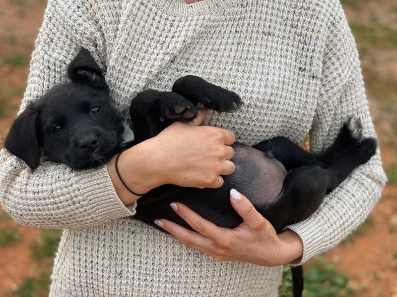 1 PHOTO 2021 01 13 20 26 37