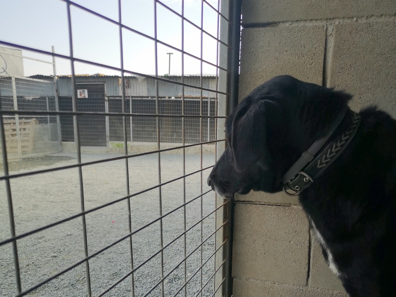 1 IMG 20210111 134526