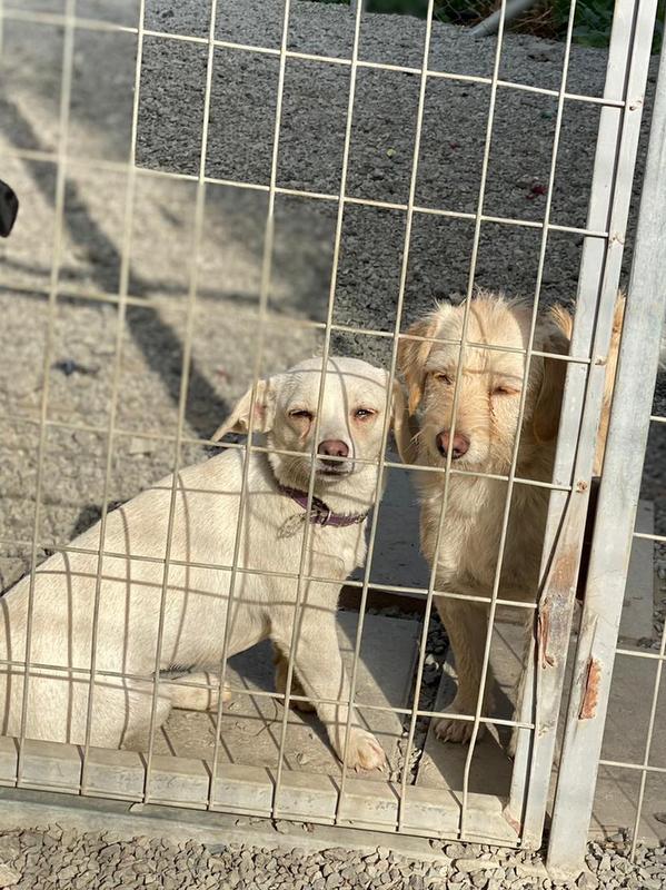 1 PHOTO 2021 01 11 23 54 036