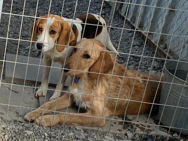 1 PHOTO 2021 01 11 23 54 038