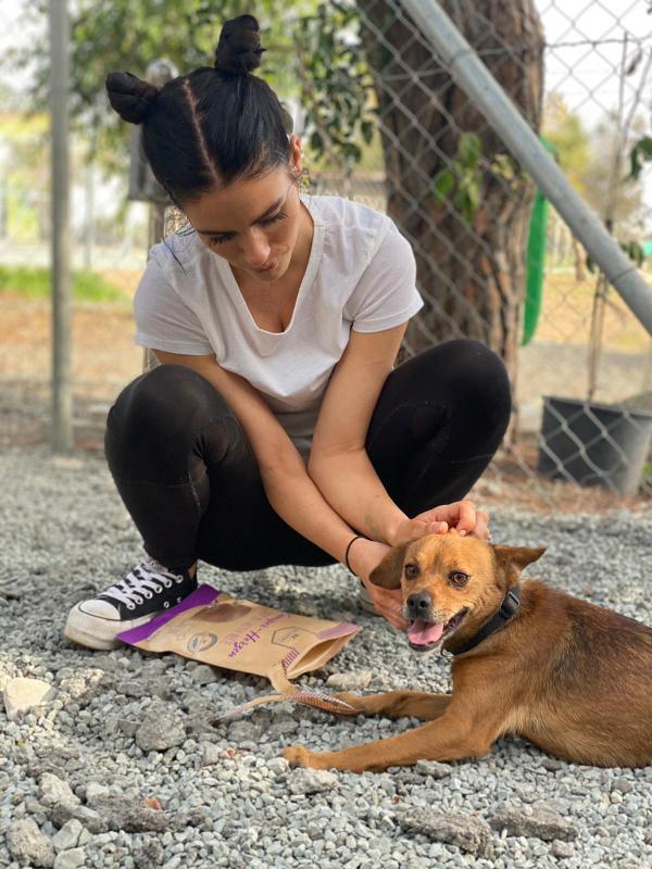 1 PHOTO 2021 01 11 23 54 34